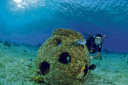 arrecife3 (2018_10_08 13_33_54 UTC).jpg